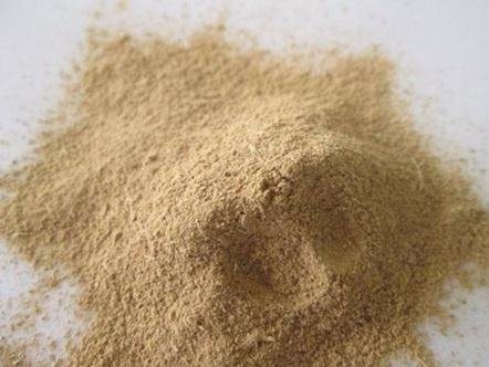 Buy Ibogaine